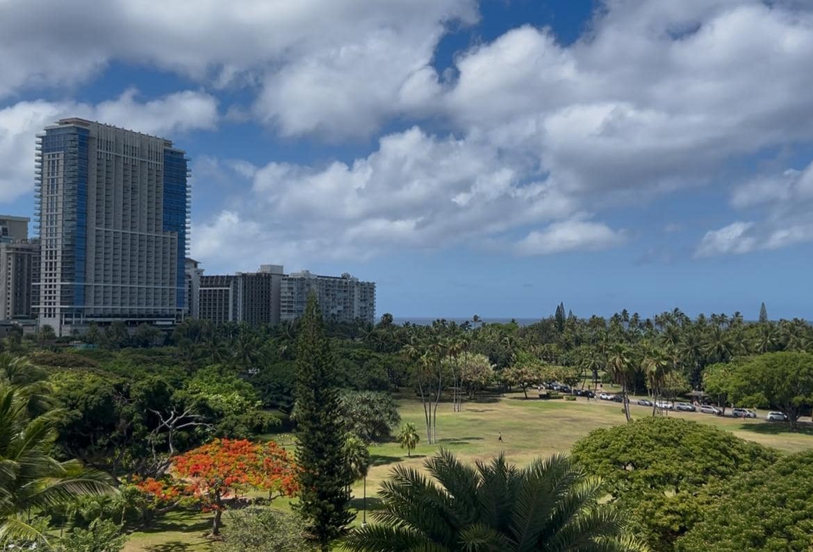 View from one of the lanais!