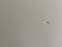 Non door stop caused ding