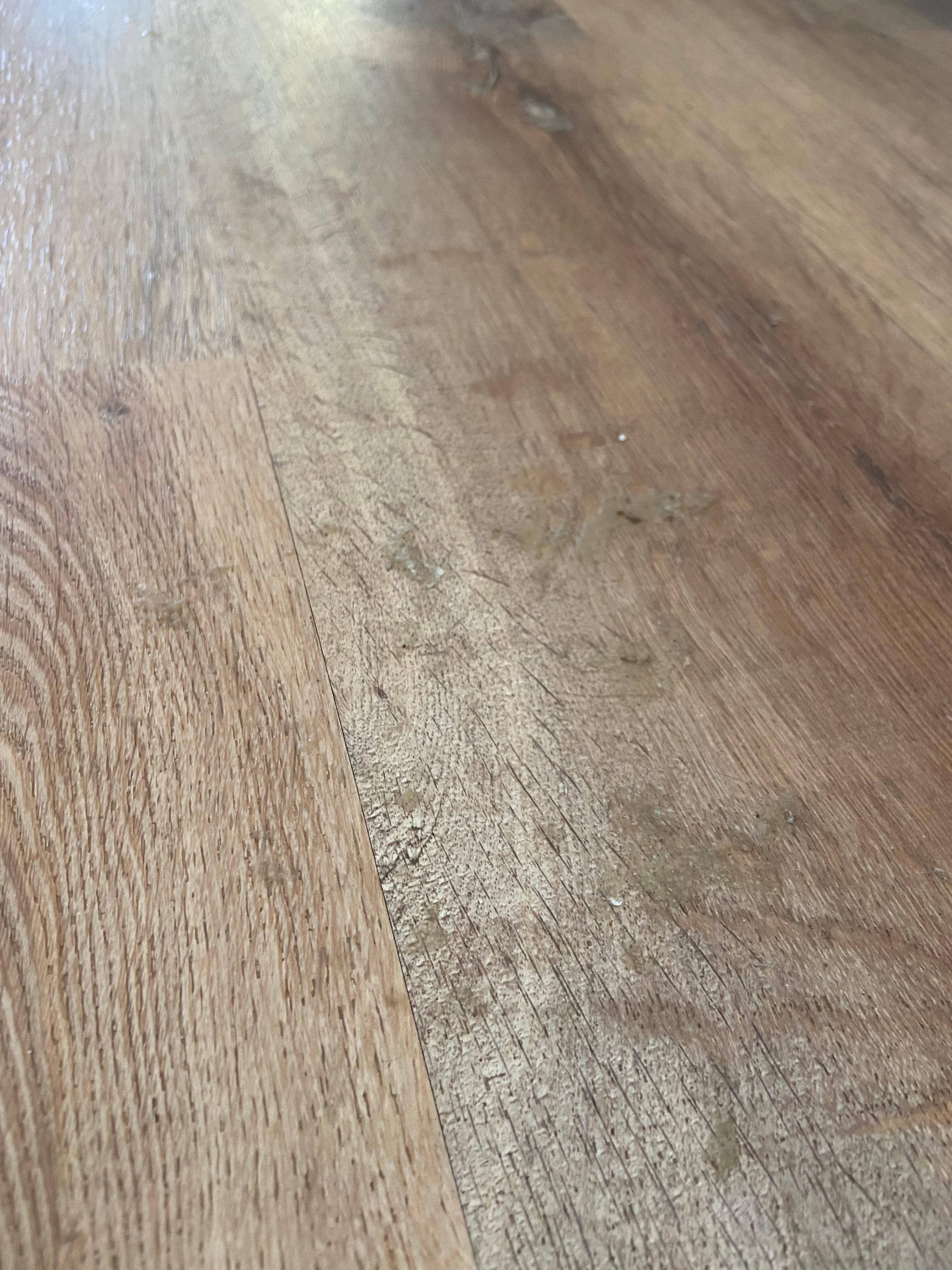 Weird food ingrained into flooring 