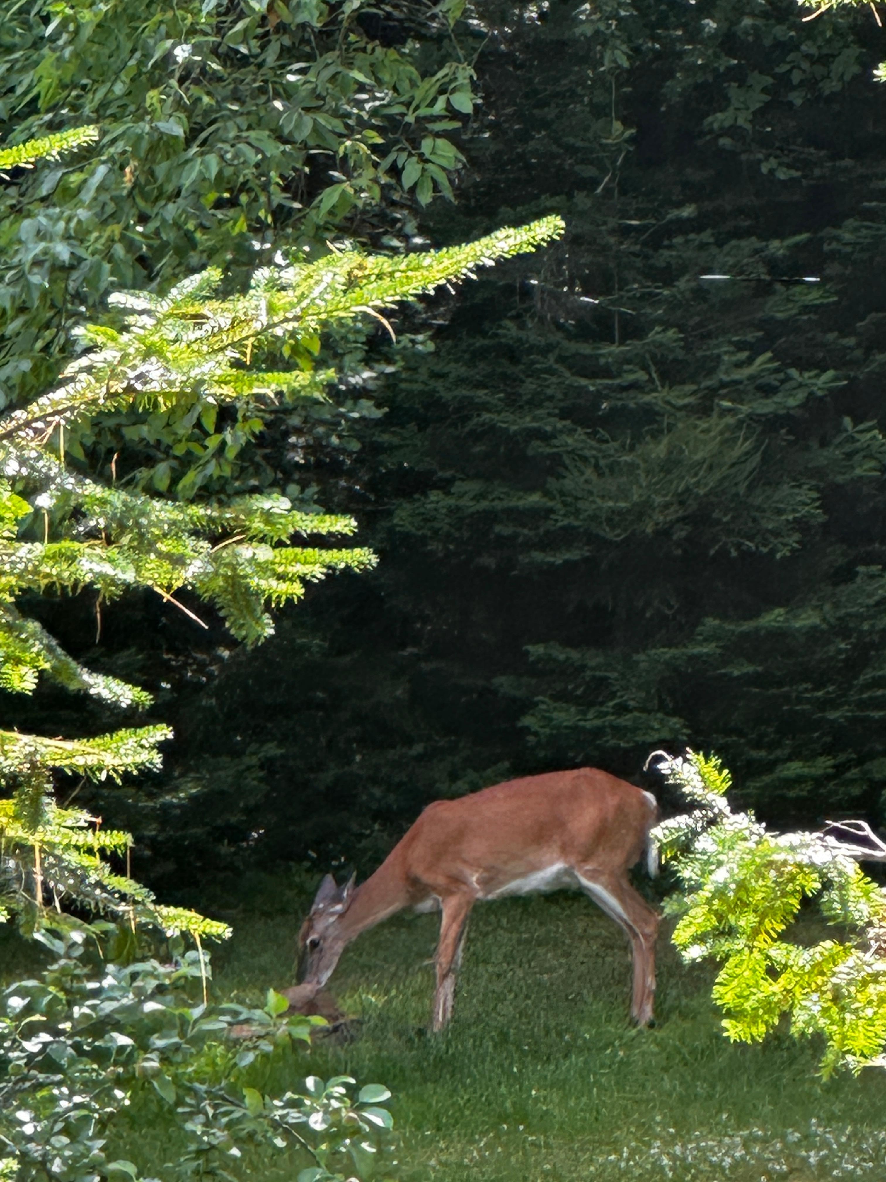 Our morning welcome party..