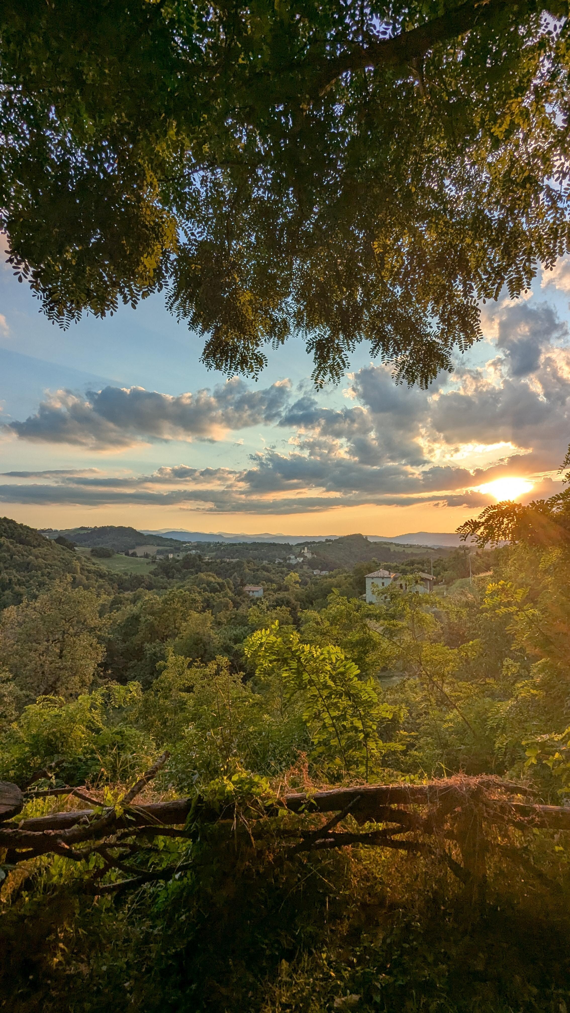 View from Silvia's terrace