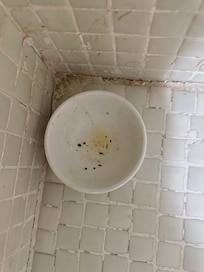 This is the steam room