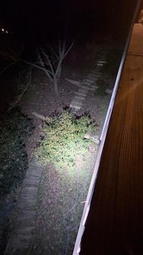 I rigged an LED to light up the walkway to the firepit.