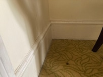 Dirty carpets and skirting boards in the bedroom