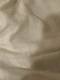 Hair on blanket