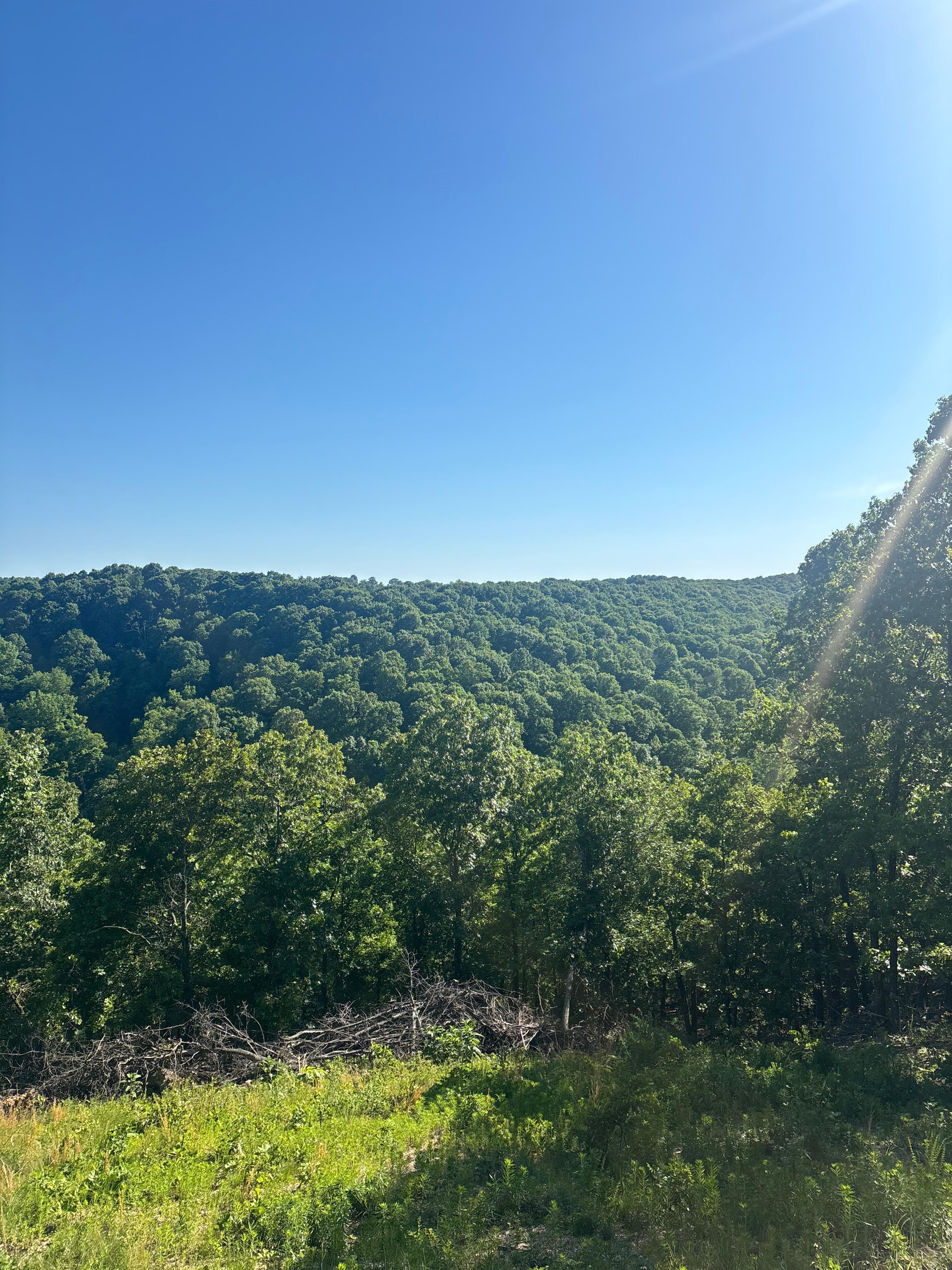 Beautiful view