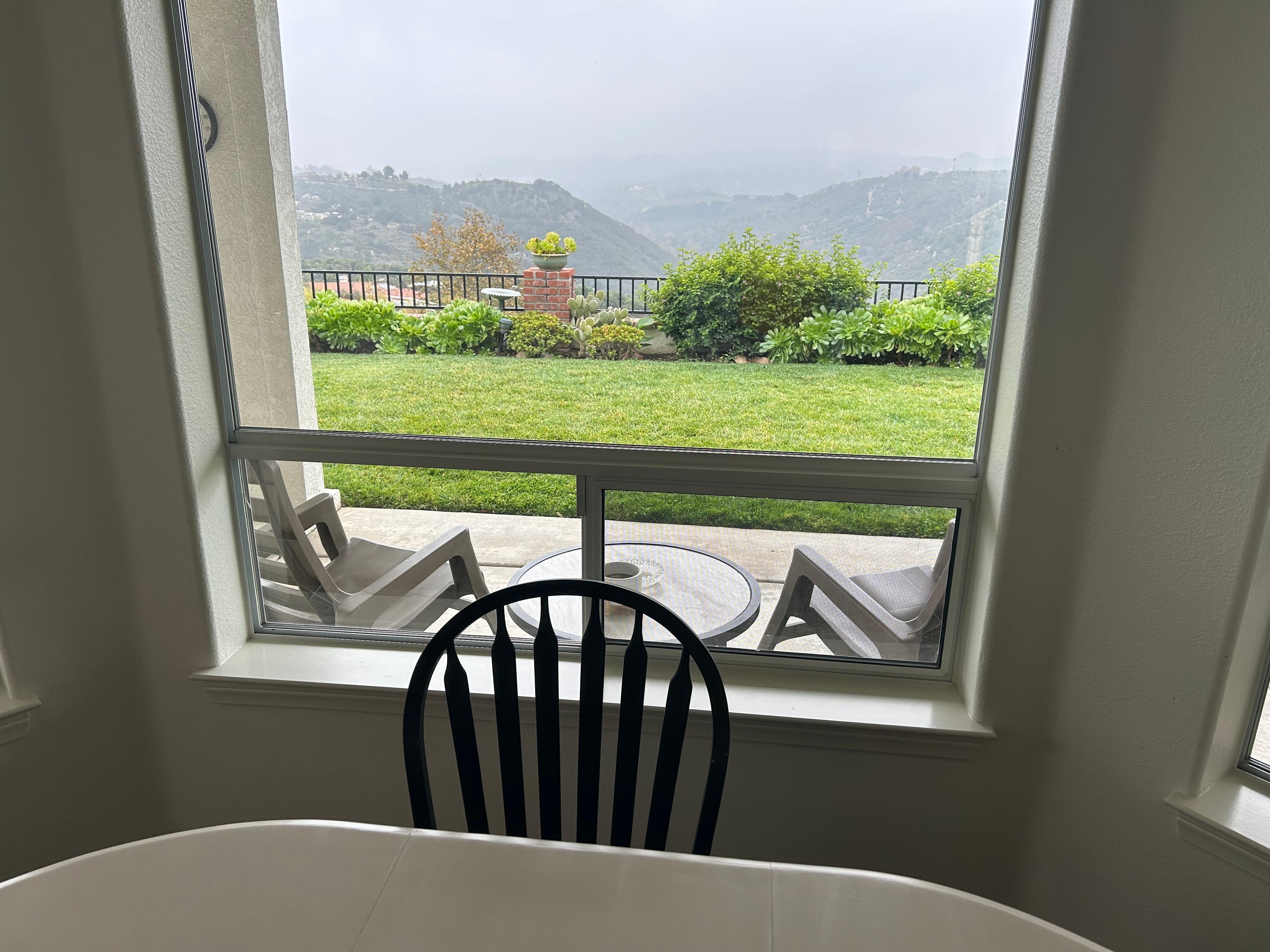 View from dining table!