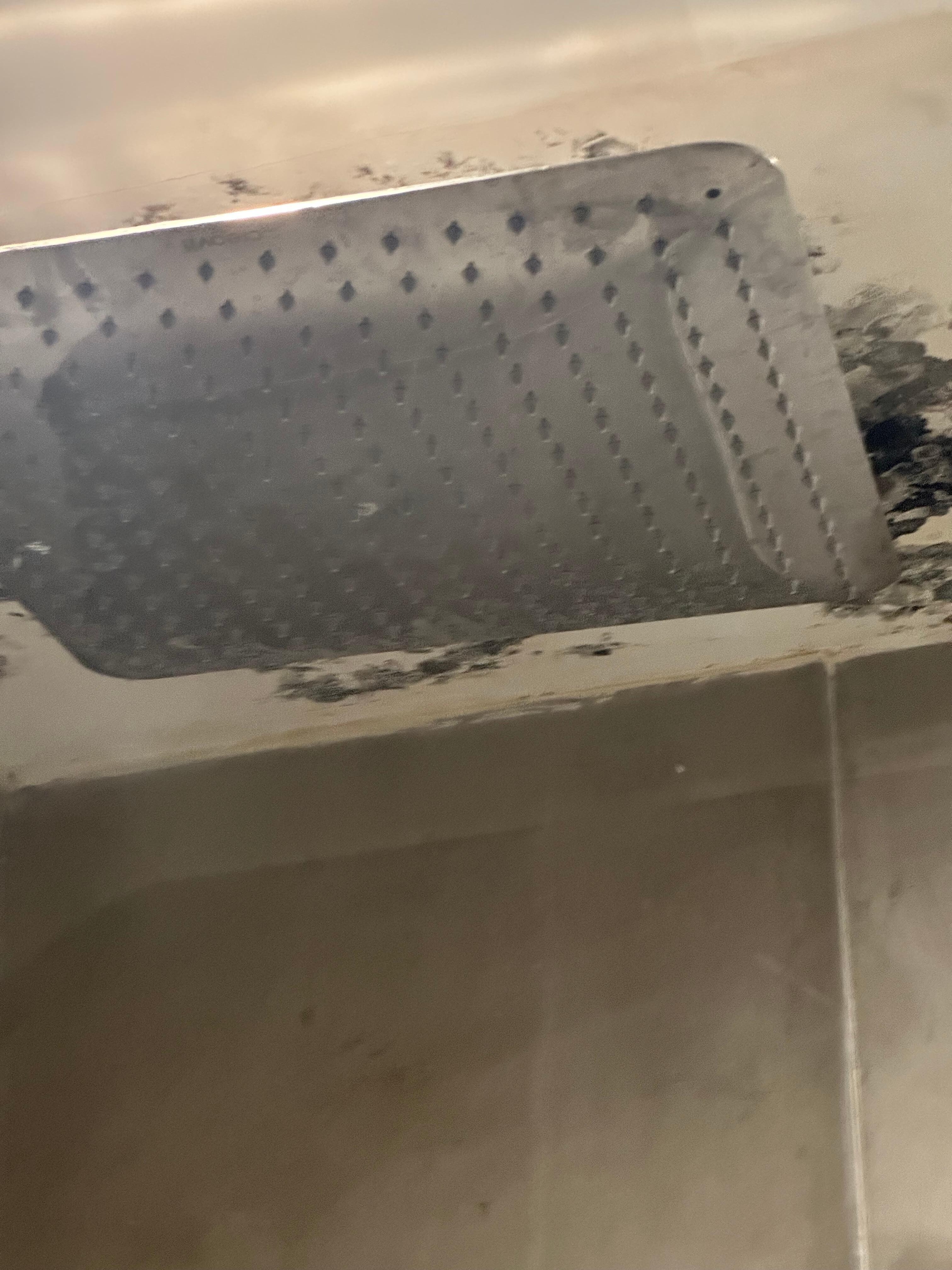 Mold on the shower ceiling 