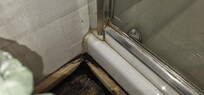 Bathroom floor/shower. Black mold (moldy smell)