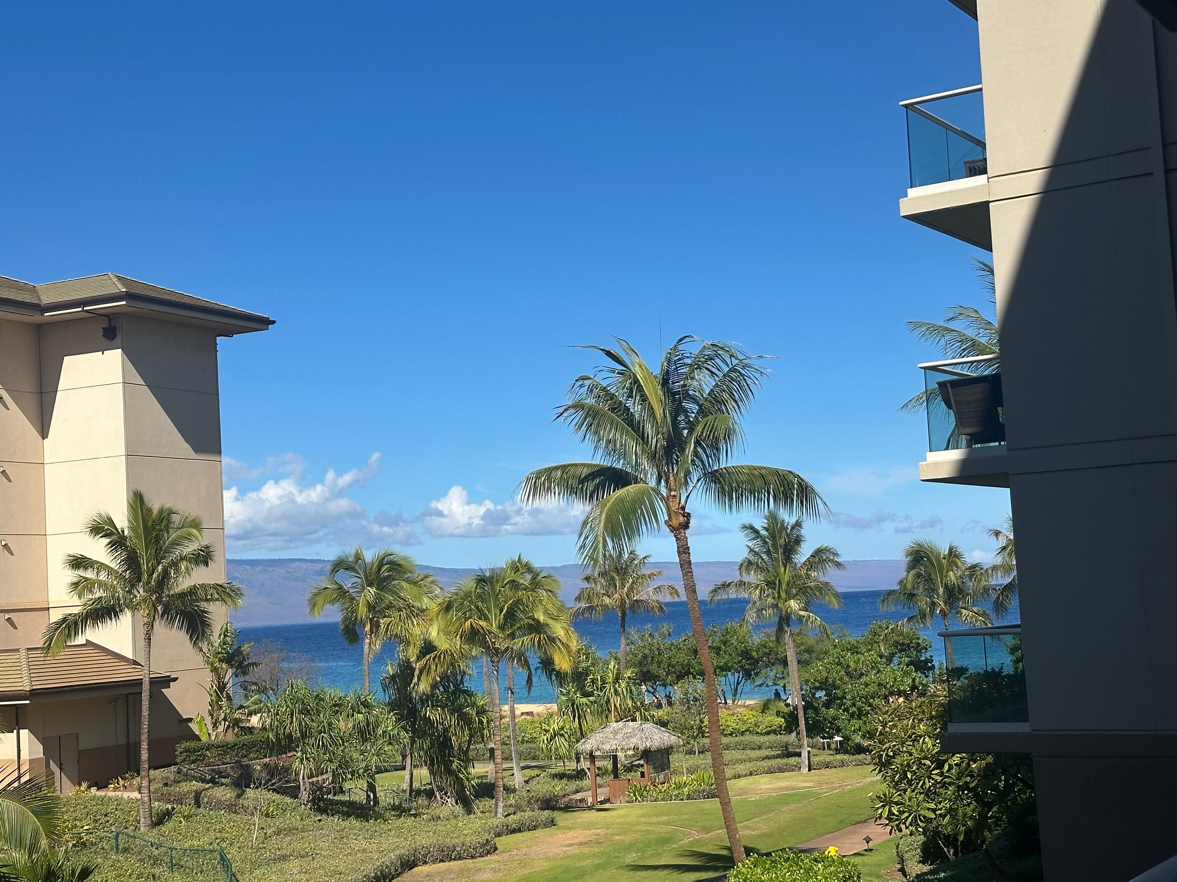 View from lanai