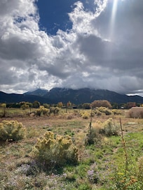 view from the back patio