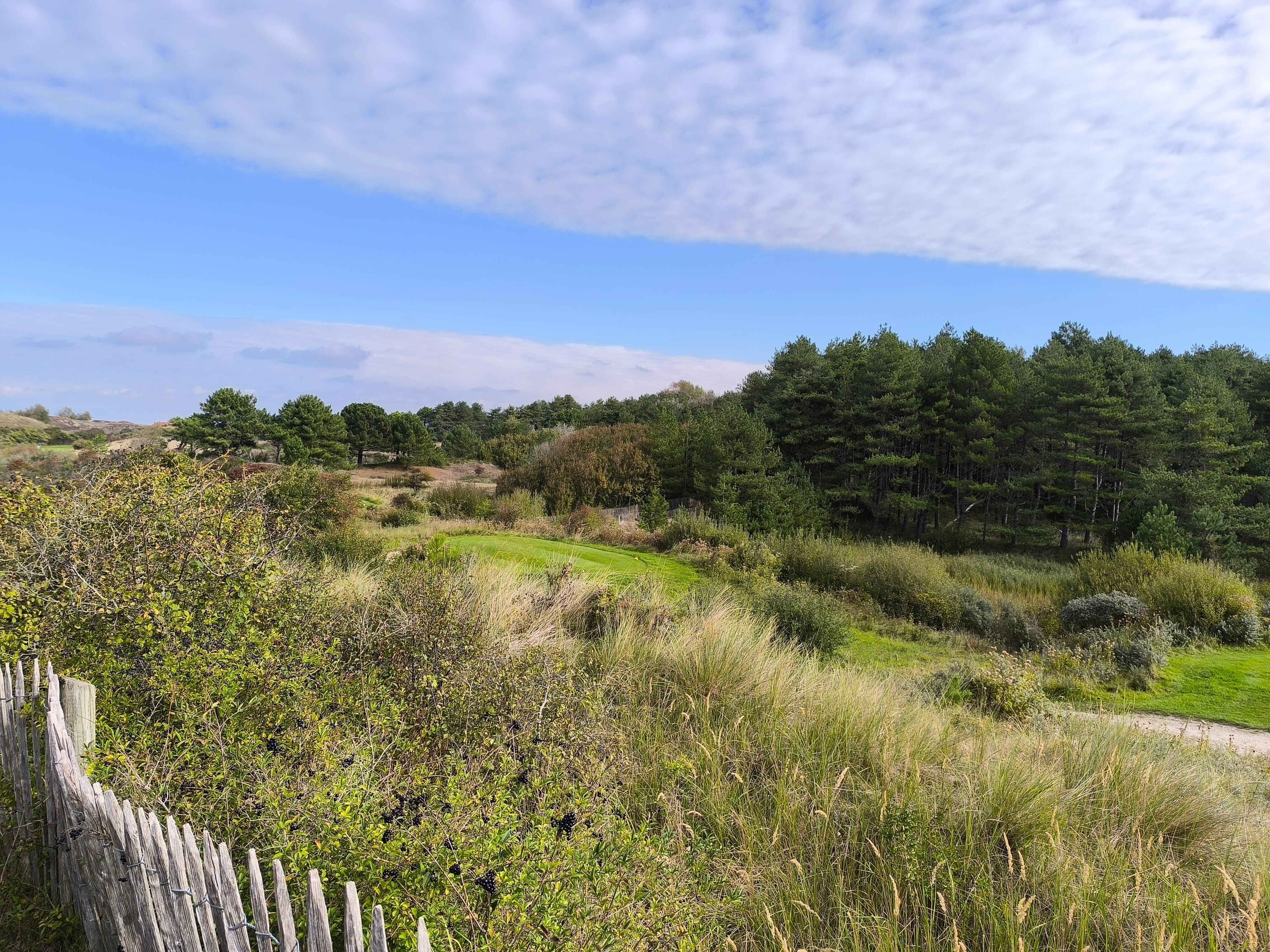 Balade des dunes du Royon
