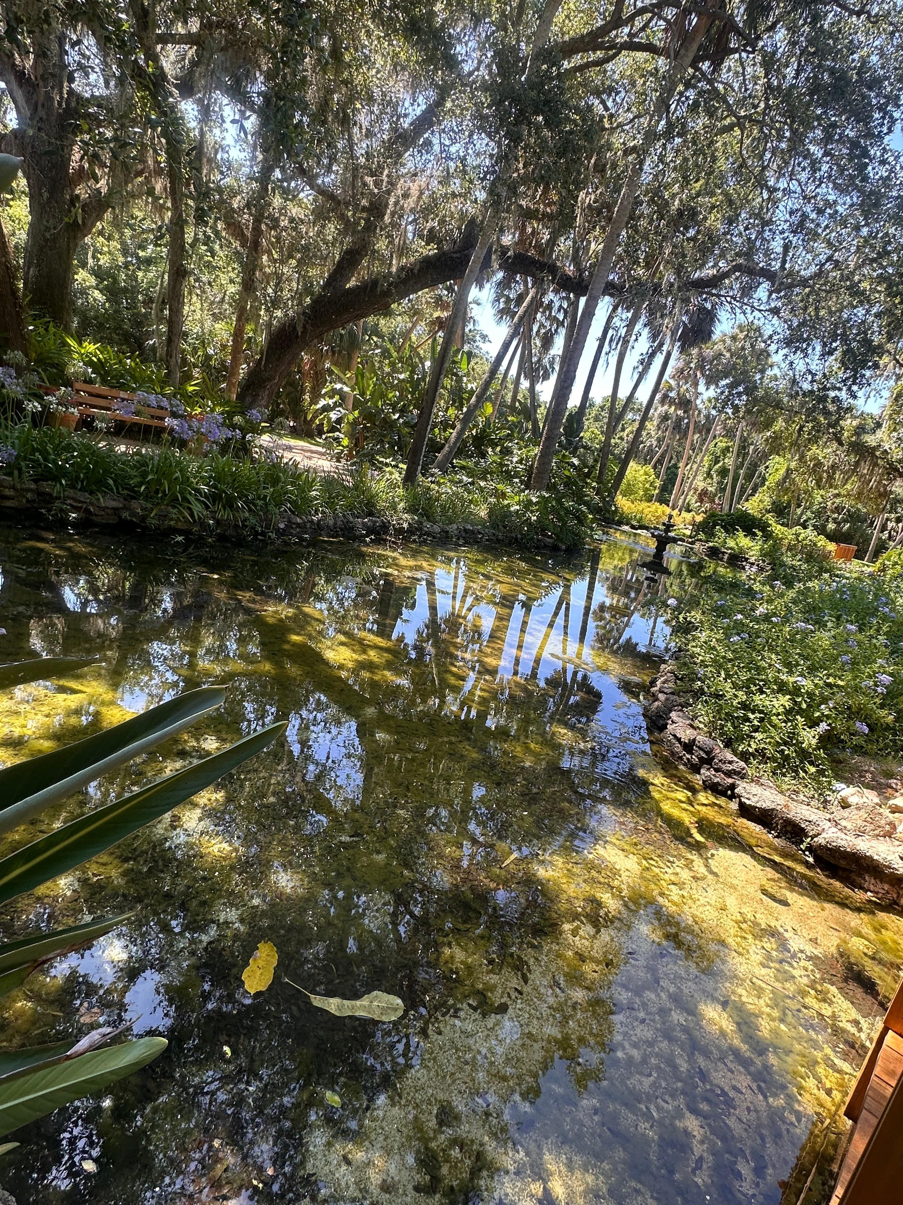 Washington Oaks State park