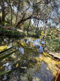 Washington Oaks State park