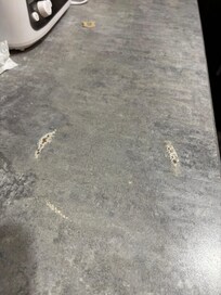 Someone put hot pot on counter