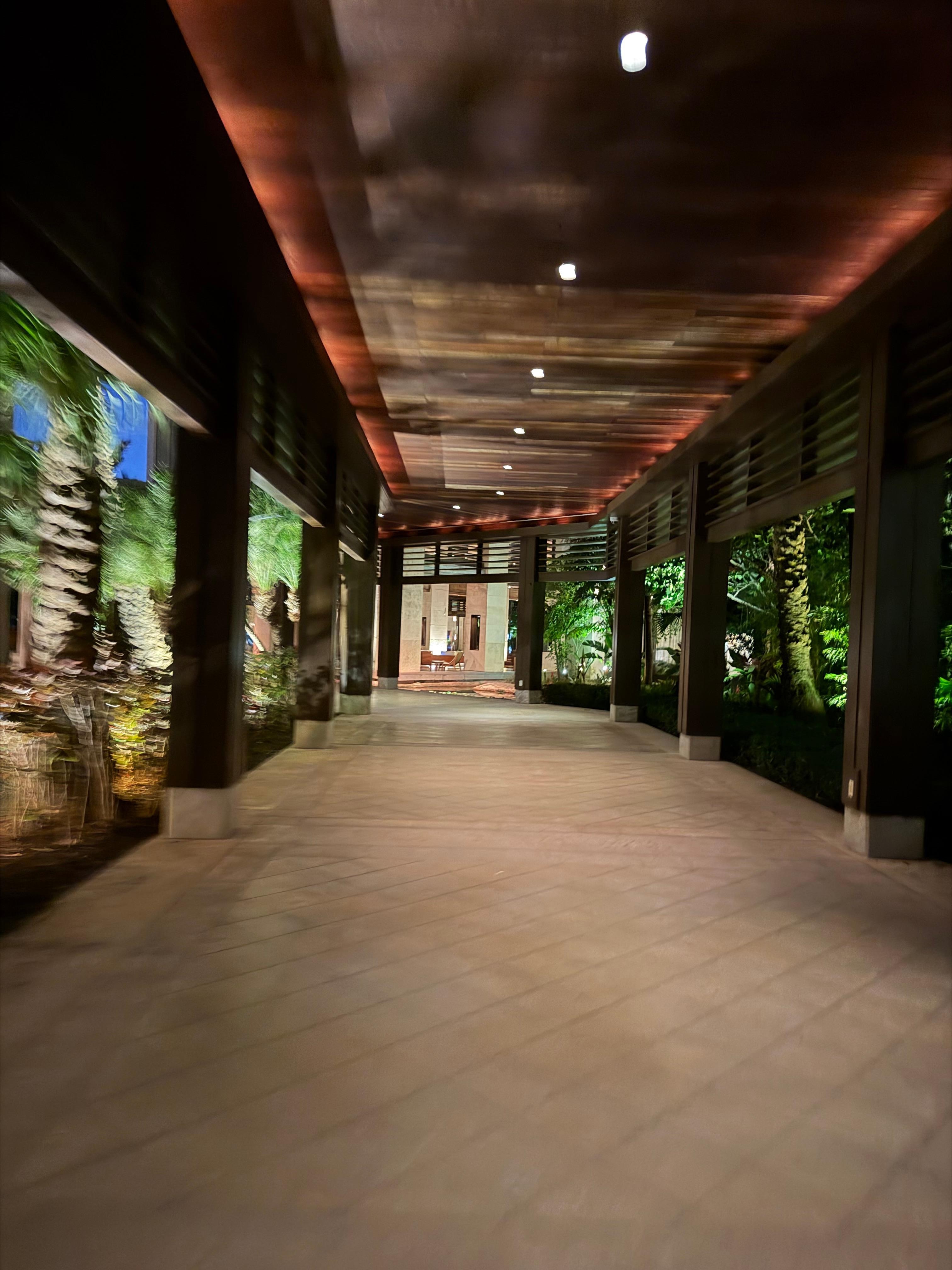 This is the hallway going towards elevators 