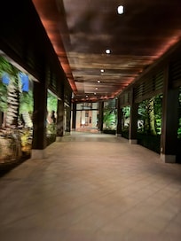 This is the hallway going towards elevators