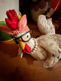 One of probably 100 chickens… So many chickens! Super fun and cute.