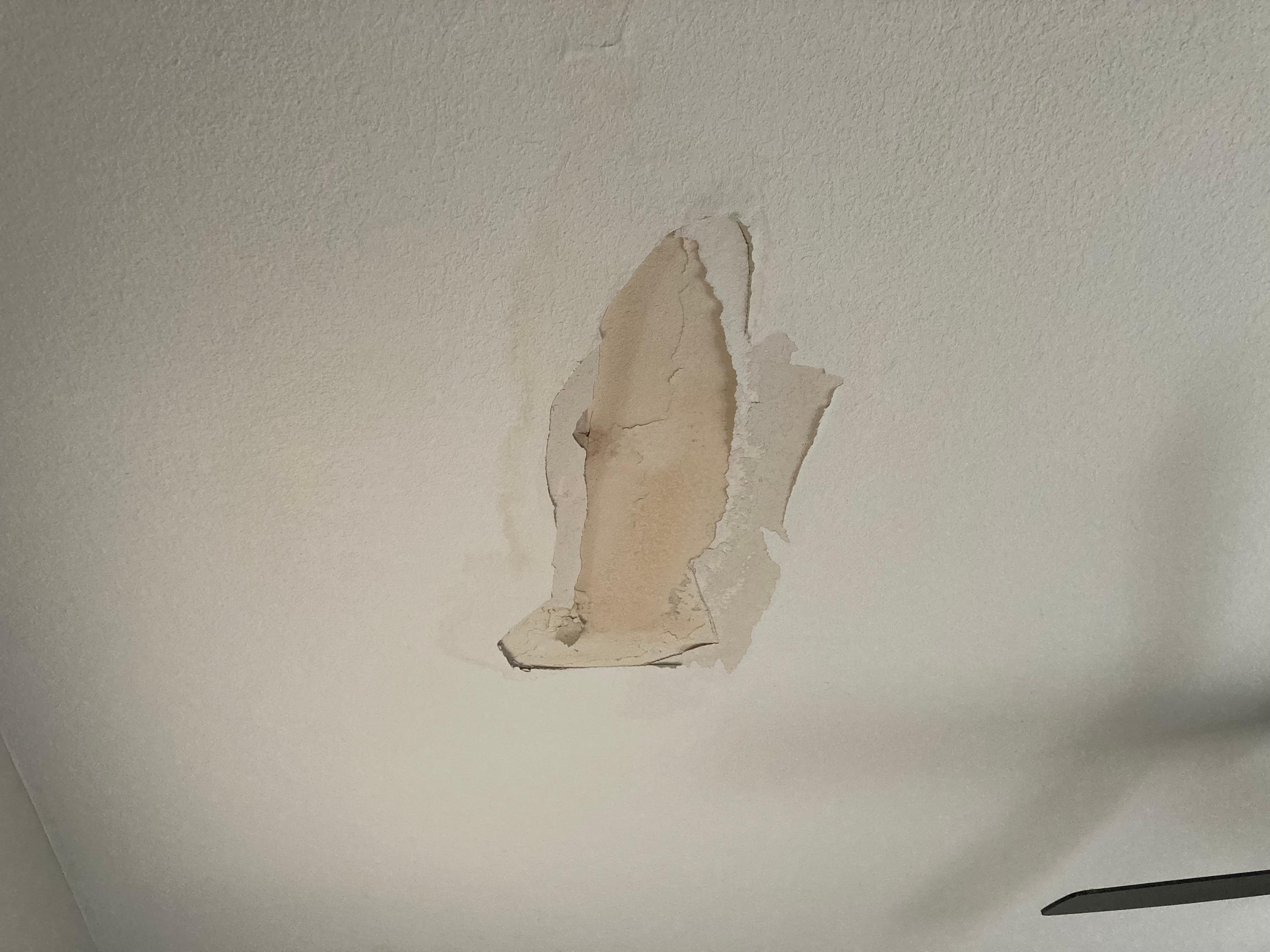 Large Ceiling stain in Master bedroom & plaster peeling off & falling