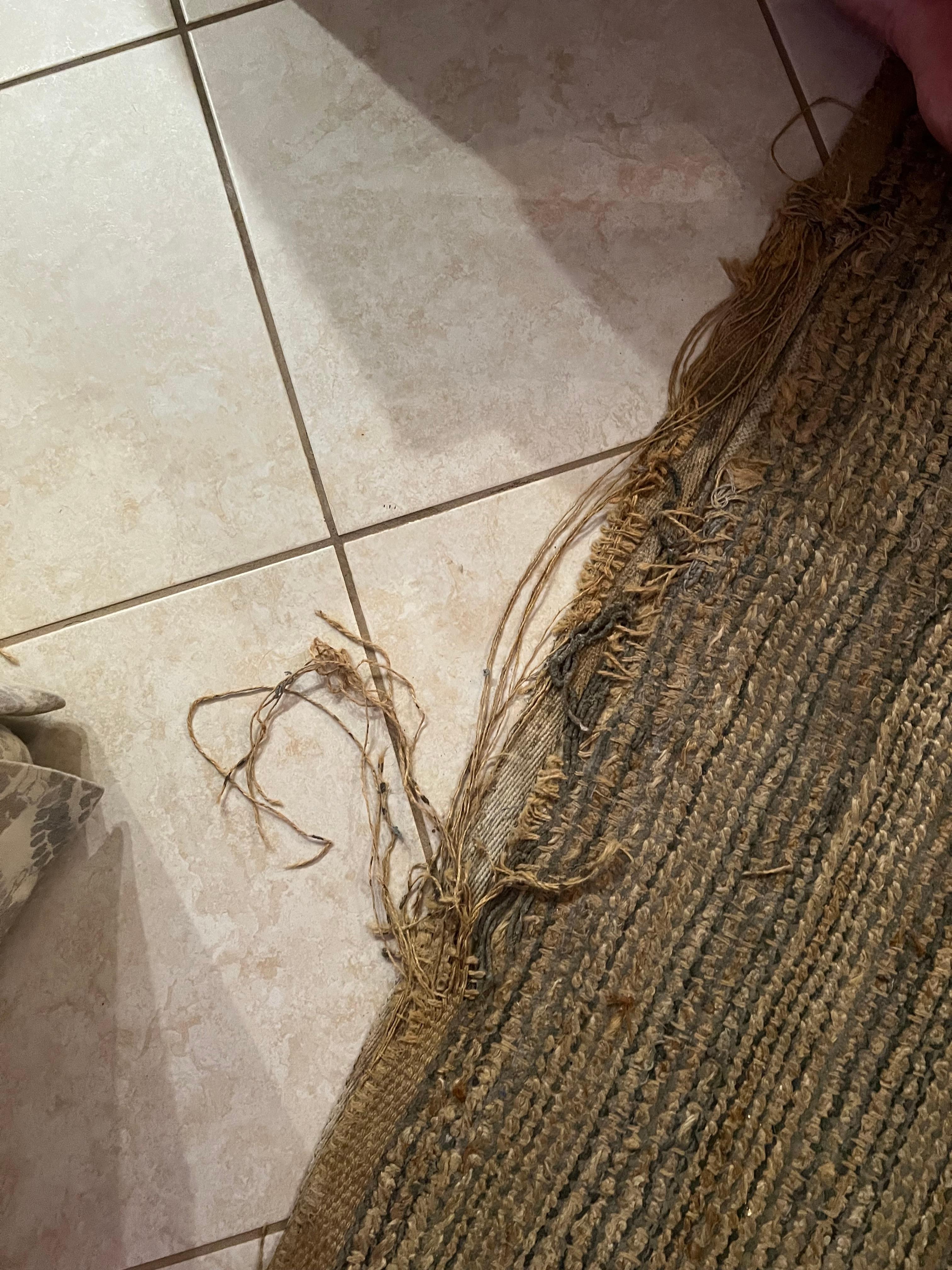 Tattered rug