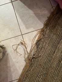 Tattered rug
