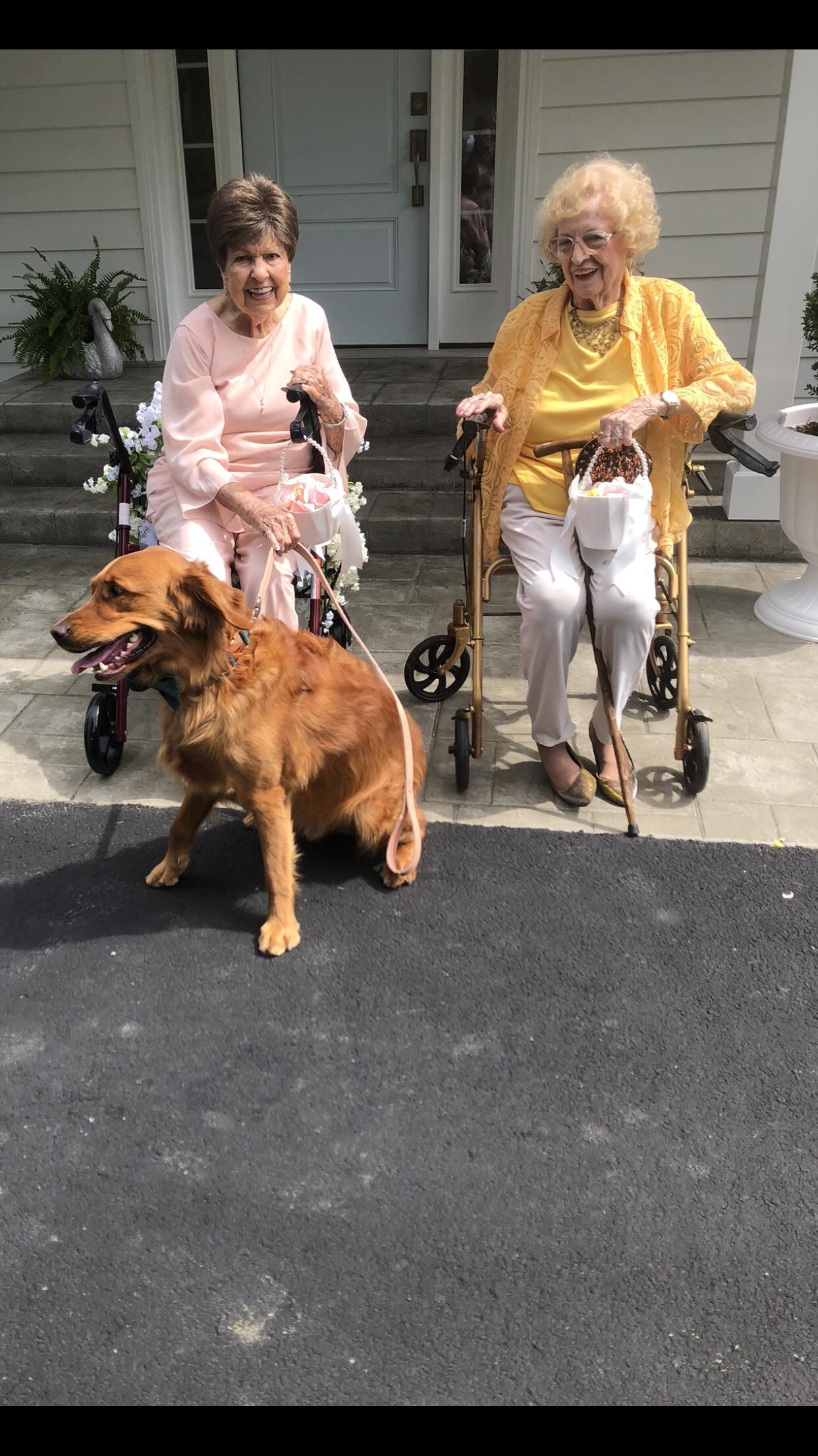 Nana and Honey.  Flower girls with Willie 