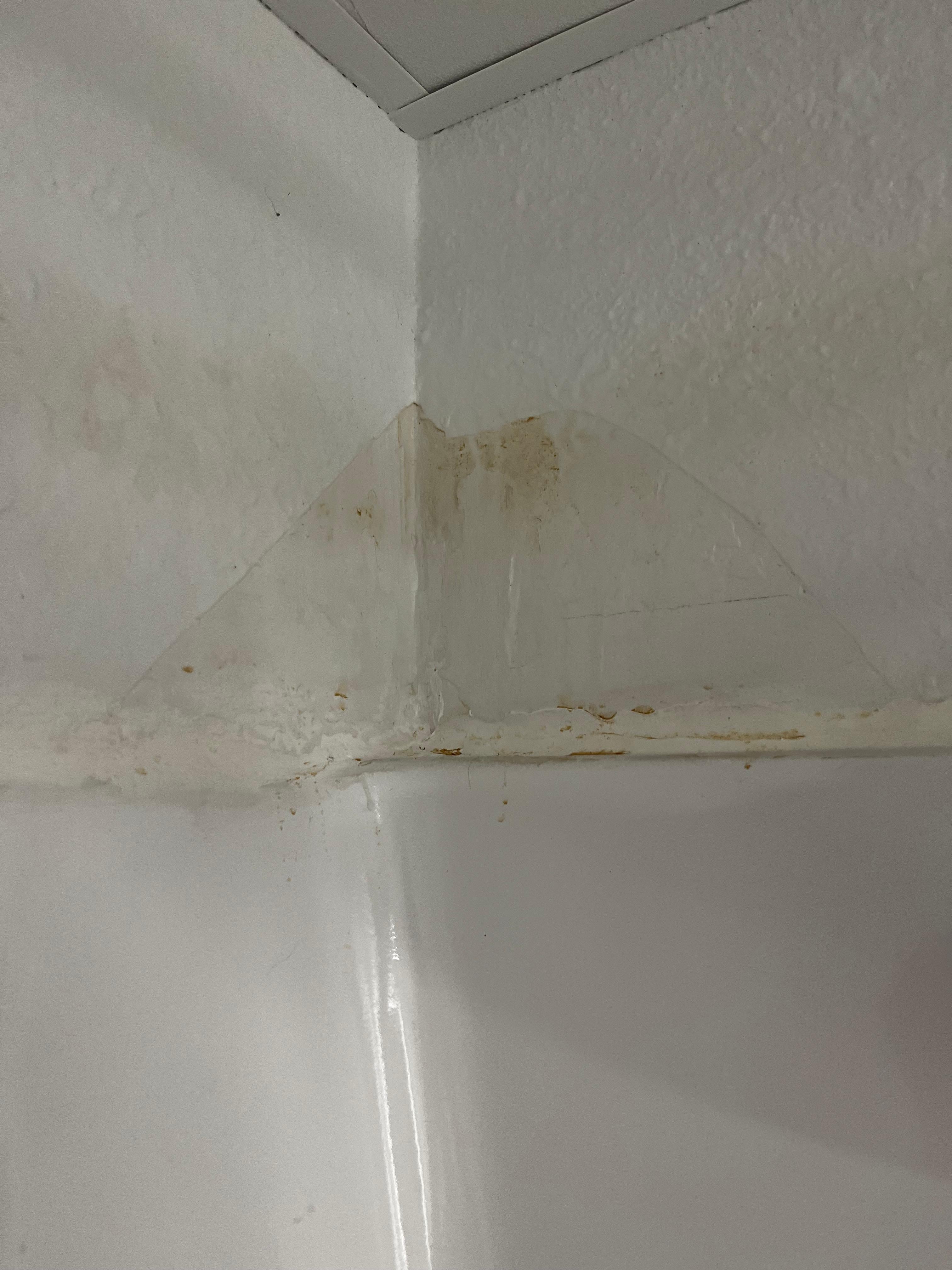 Walls were water stained and smelled of mold. 