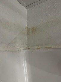 Walls were water stained and smelled of mold.