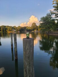From the Dock