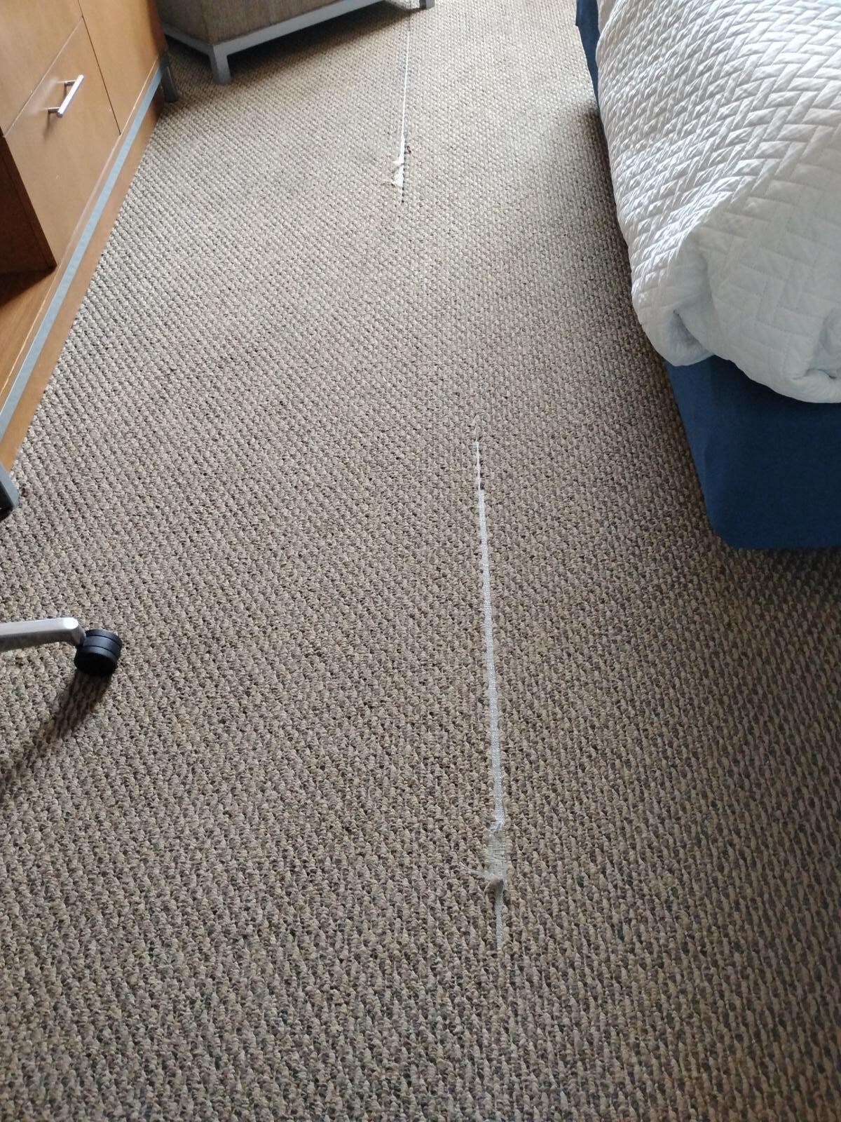 Carpet rips