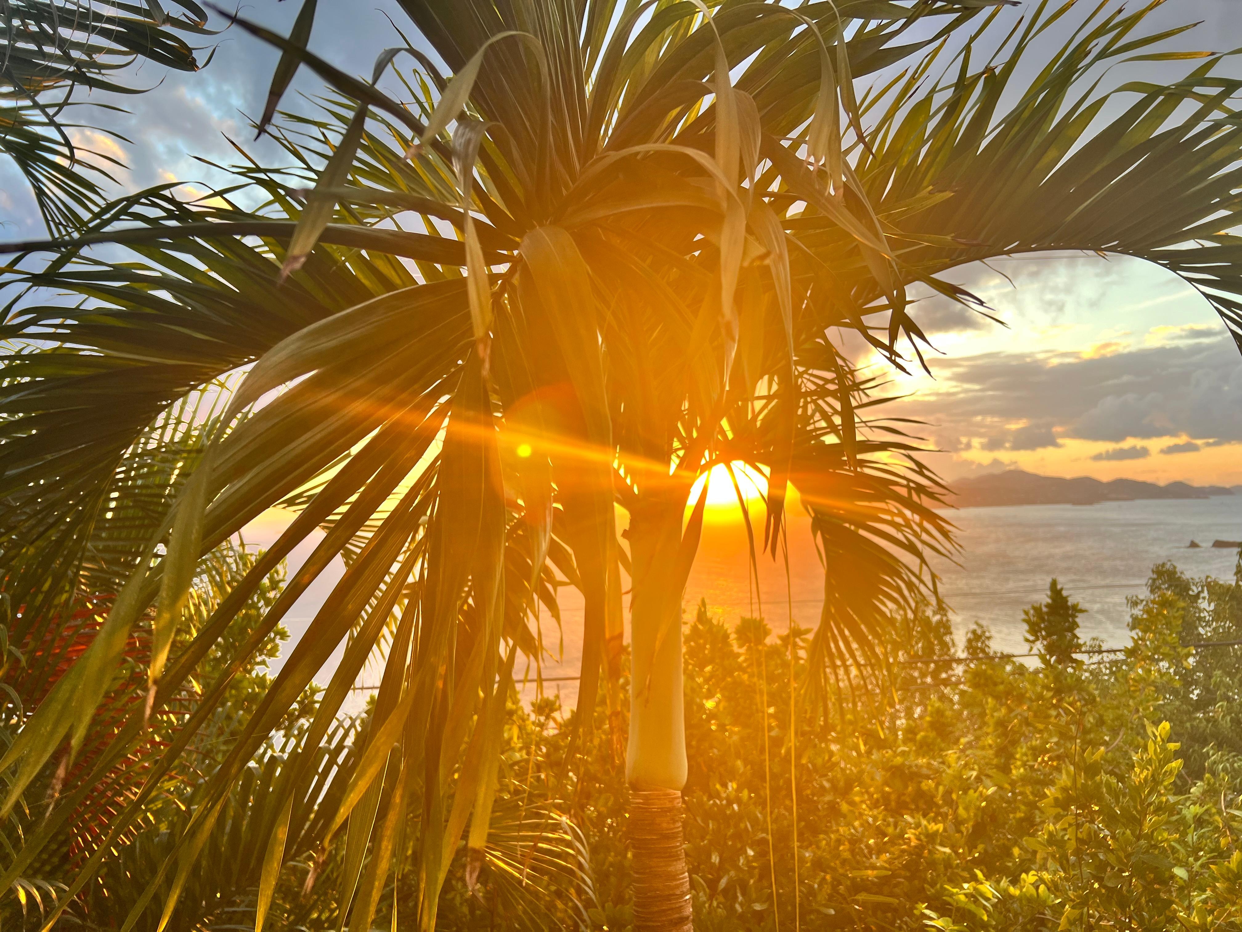 View from the veranda.