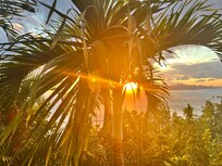 View from the veranda.