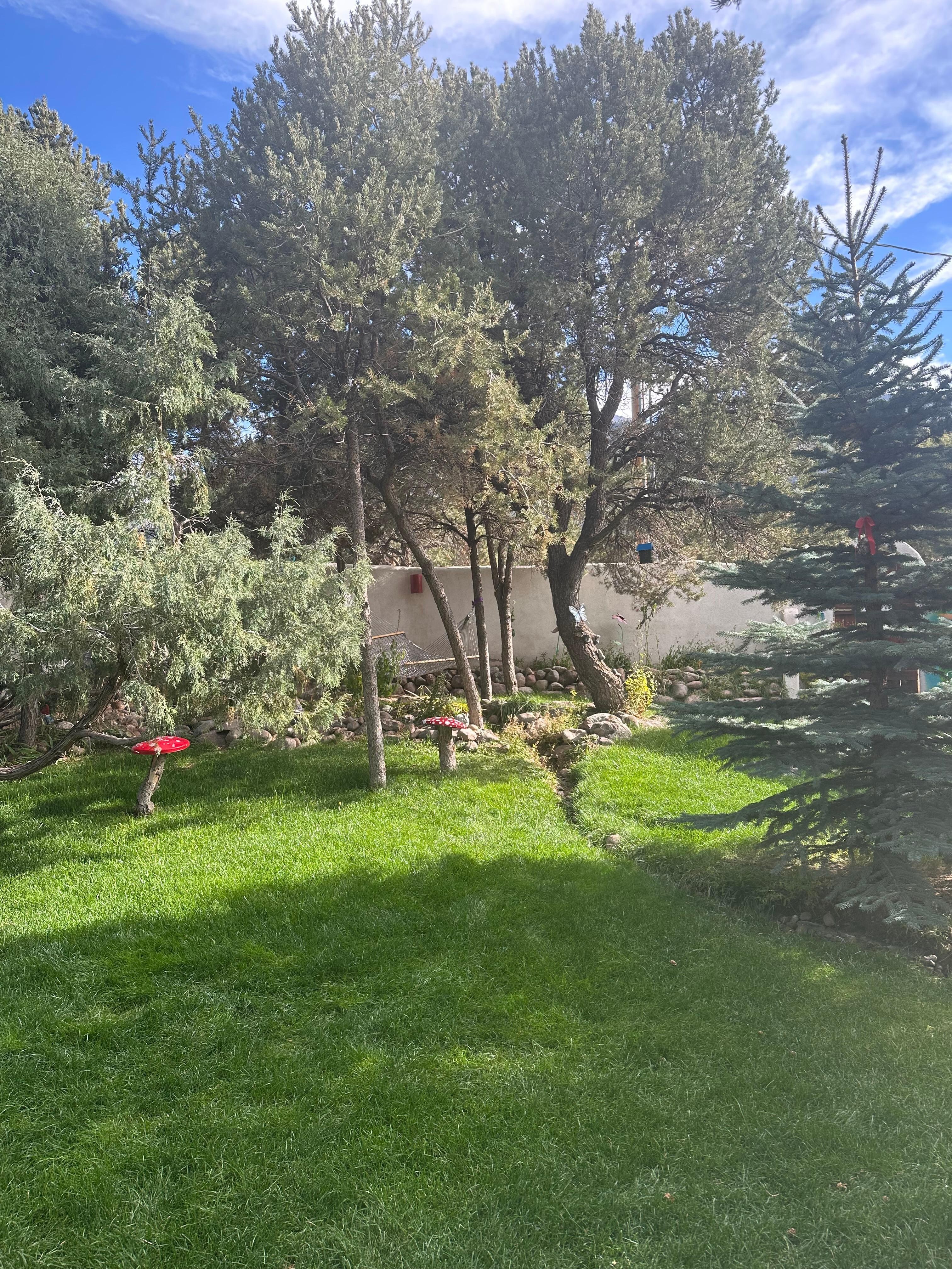 View of communal garden #2