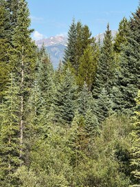 View from balcony