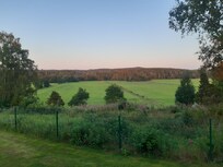 View from the garden