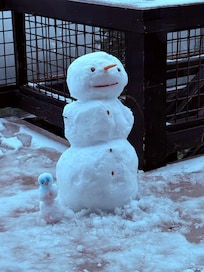 Snowman after 5 inches of snow