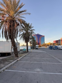 Dying, oleanders and hedges also