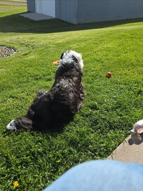 Ranger enjoying the outdoors