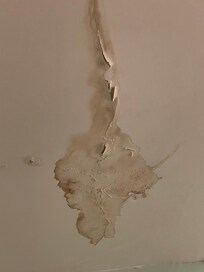 Photos of ceiling in the den near master bedroom