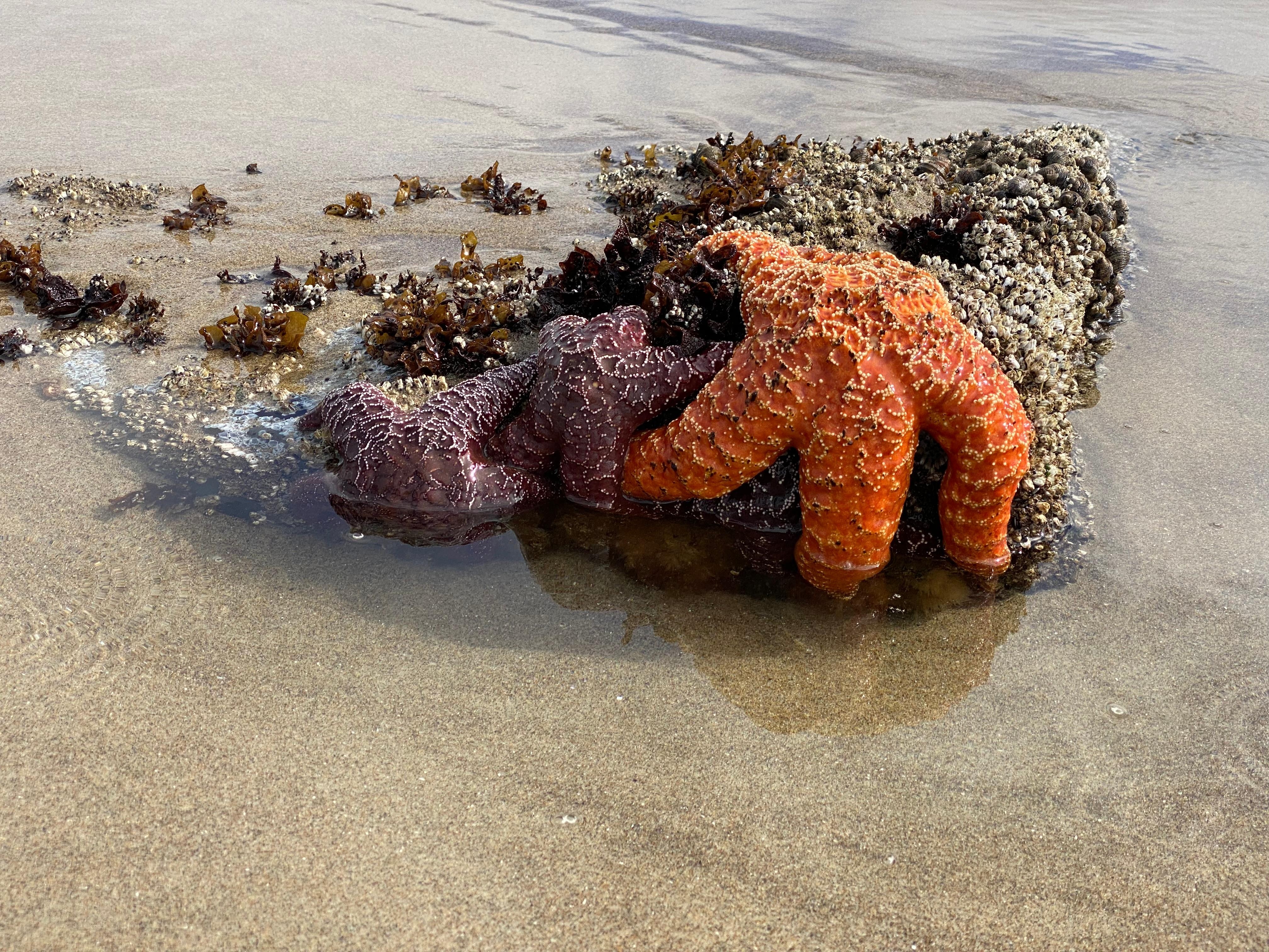 On beach very close to property 