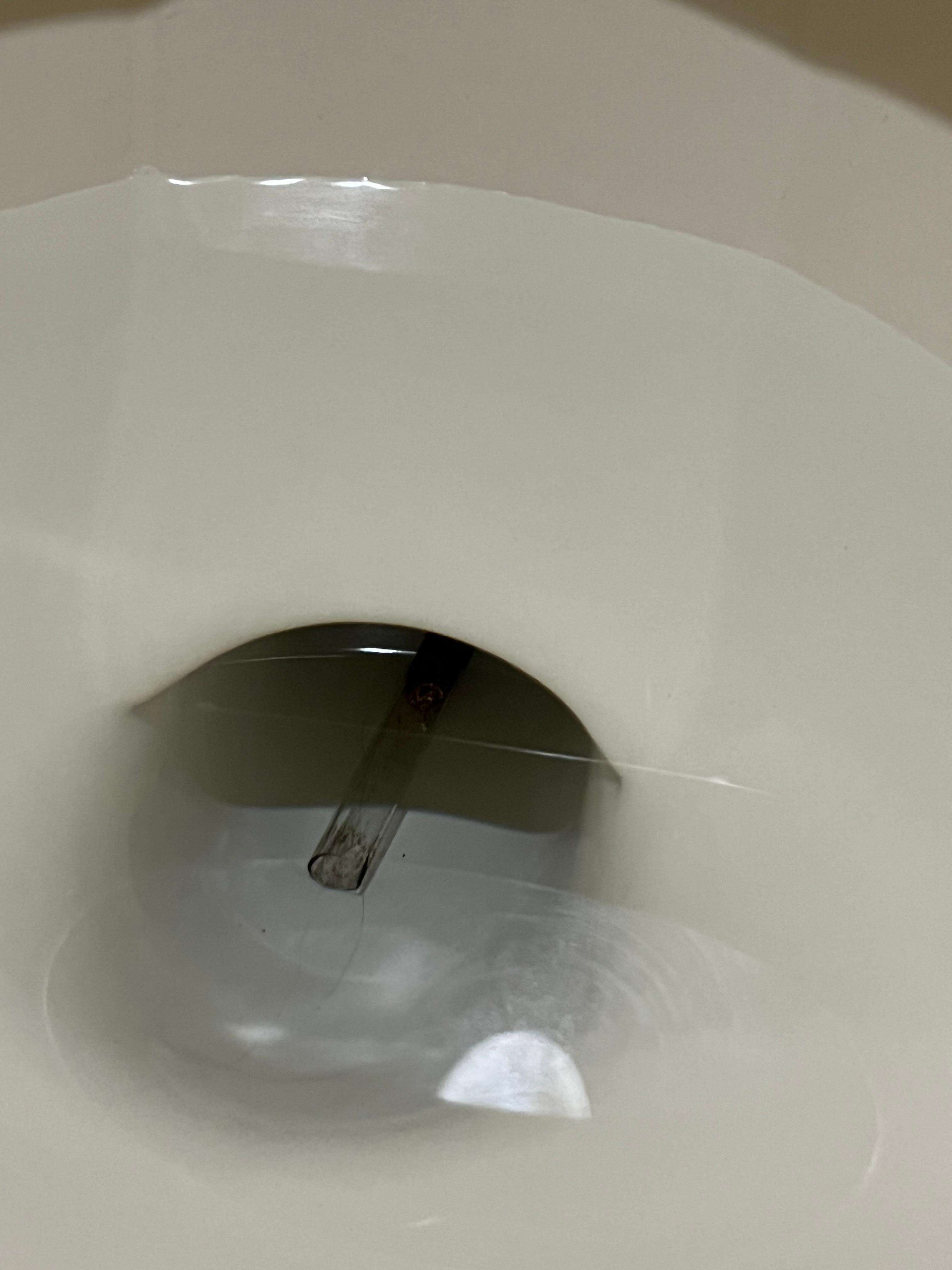 Crack pipe sitting in the bottom of our toilet