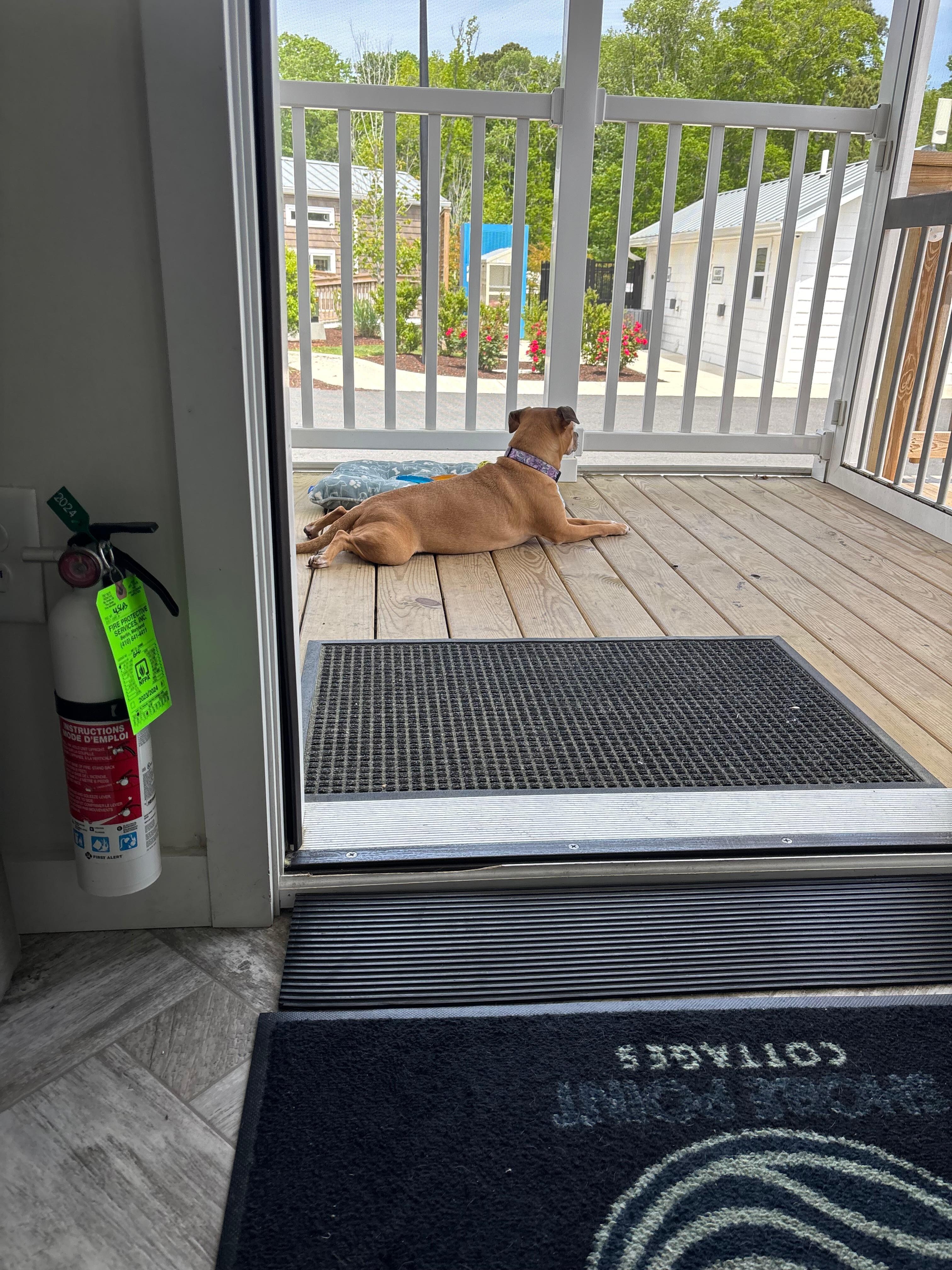 Just enjoying the sun and being outdoors. 