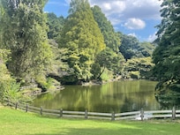 Close distance to hotel maybe 10-15 min walk shinjuku Gyoen national garden , like 3$ to get in