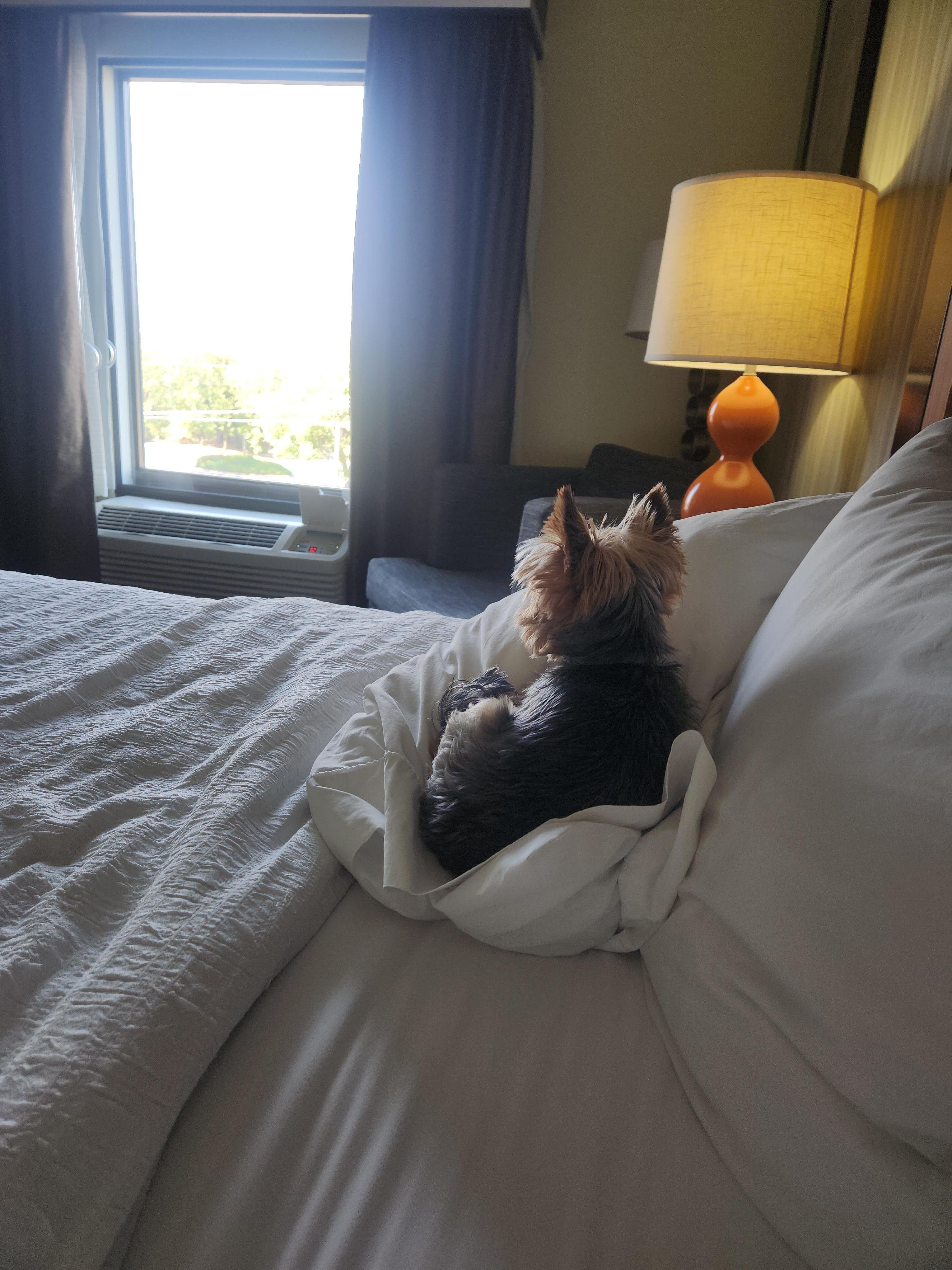 We are happy and comfortable here!