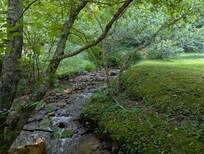 Creek.