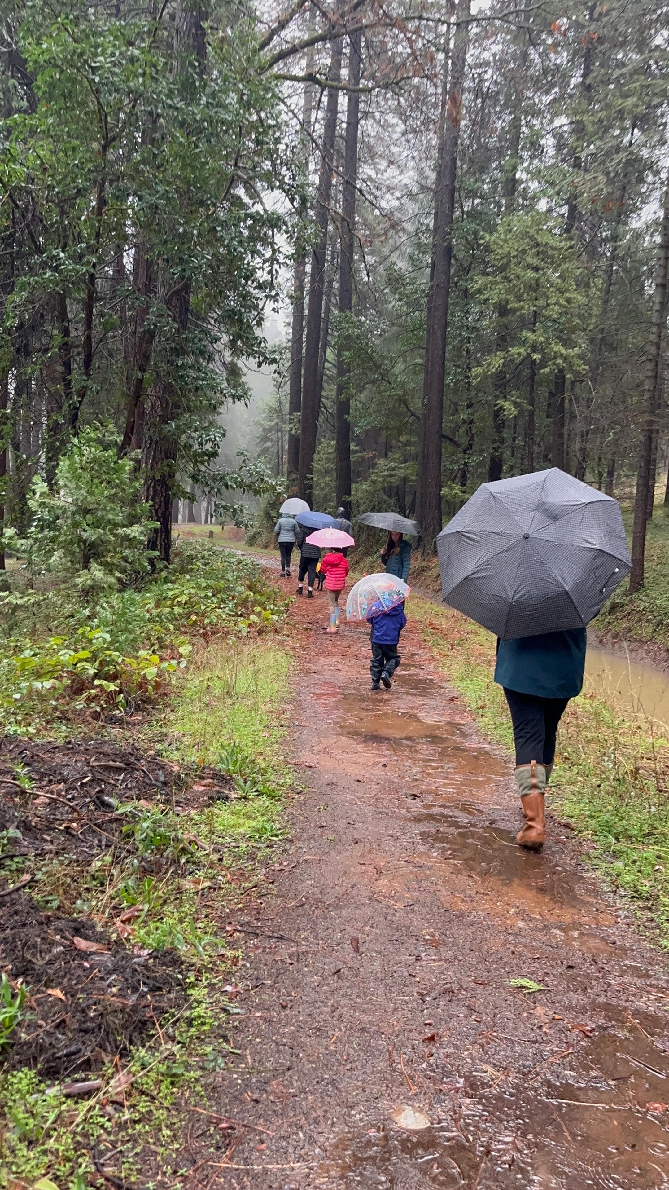 rainy walk along the canal near the house