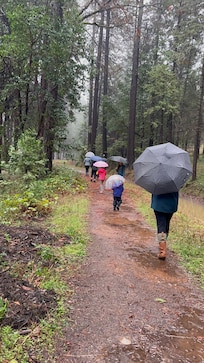 rainy walk along the canal near the house