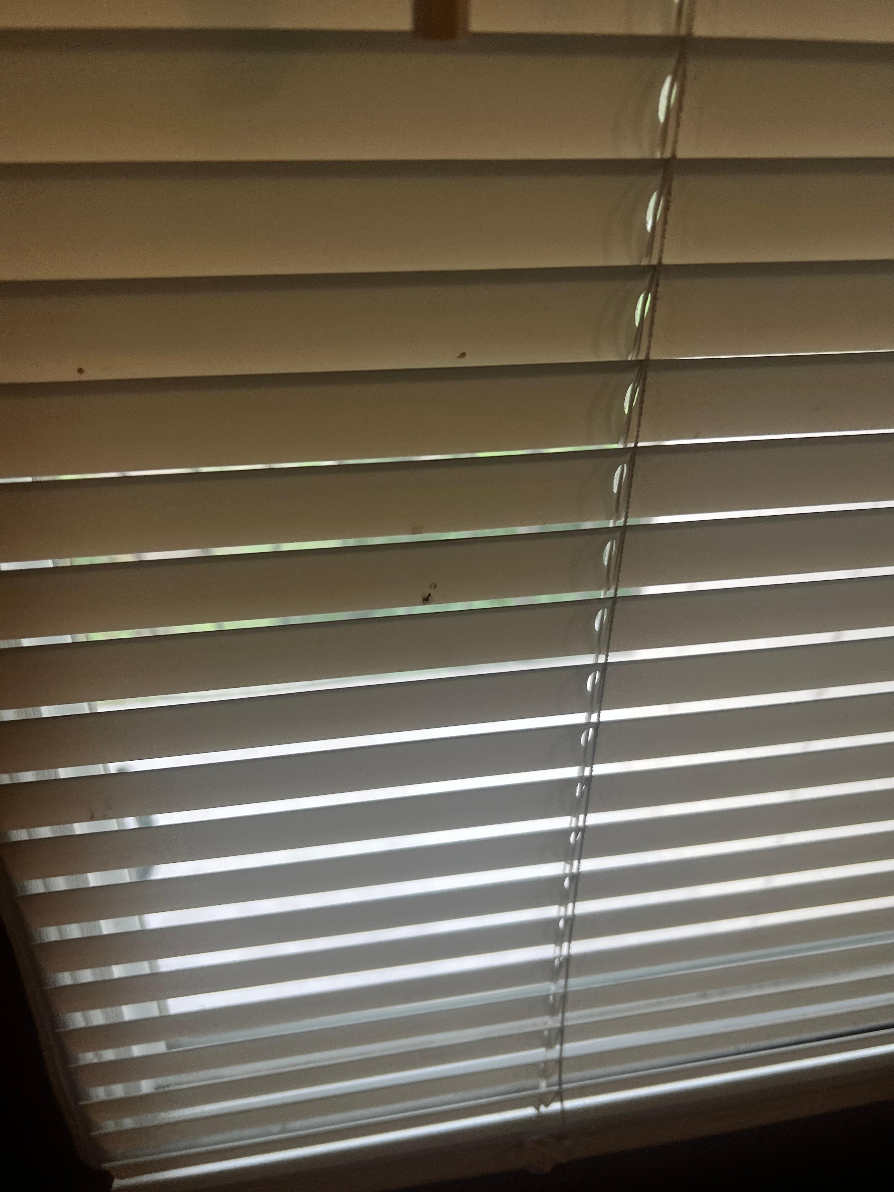 The blind that covers the window of the door to the balcony has not been cleaned for a very long time. 