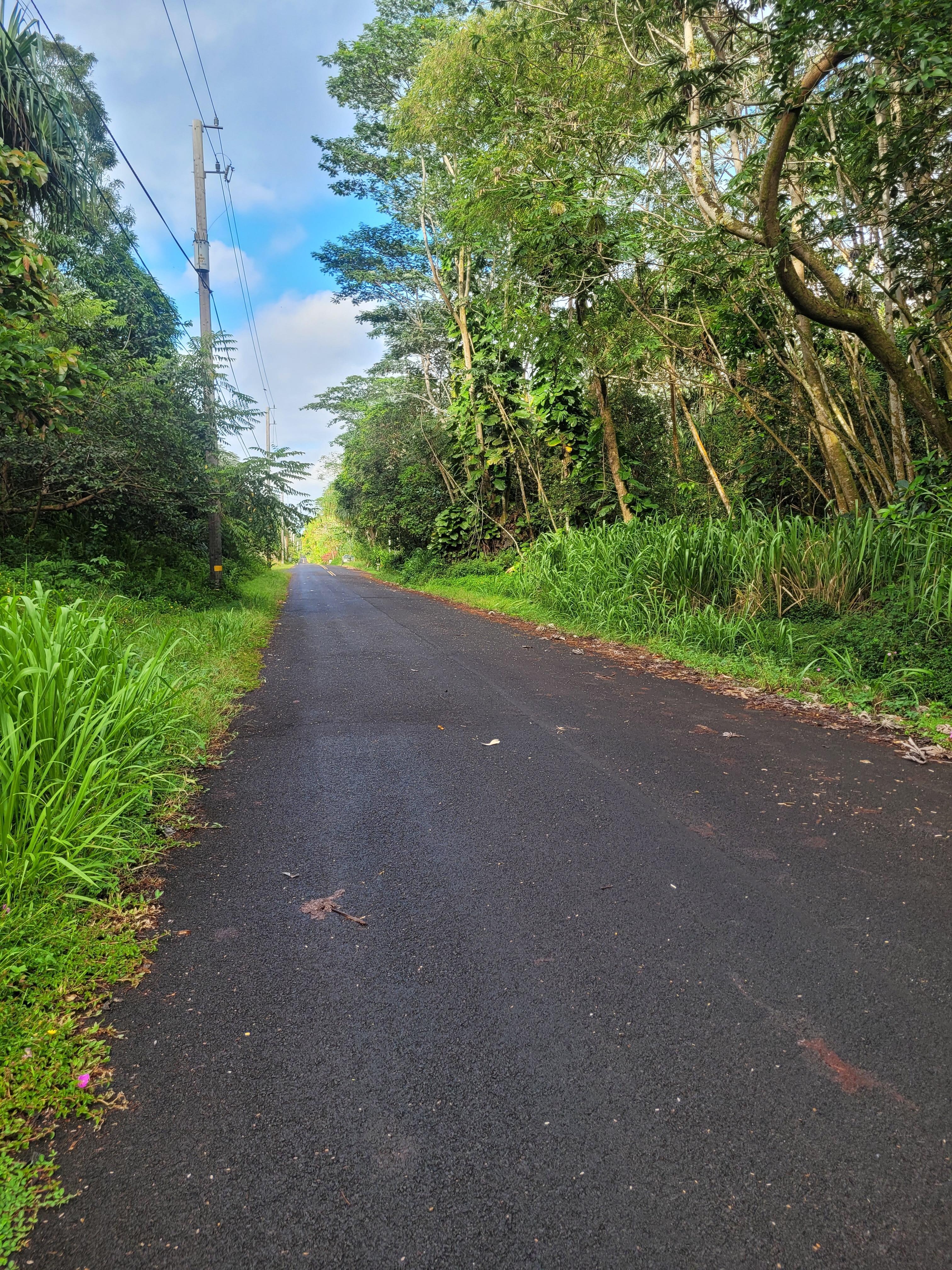 A peaceful neighborhood road