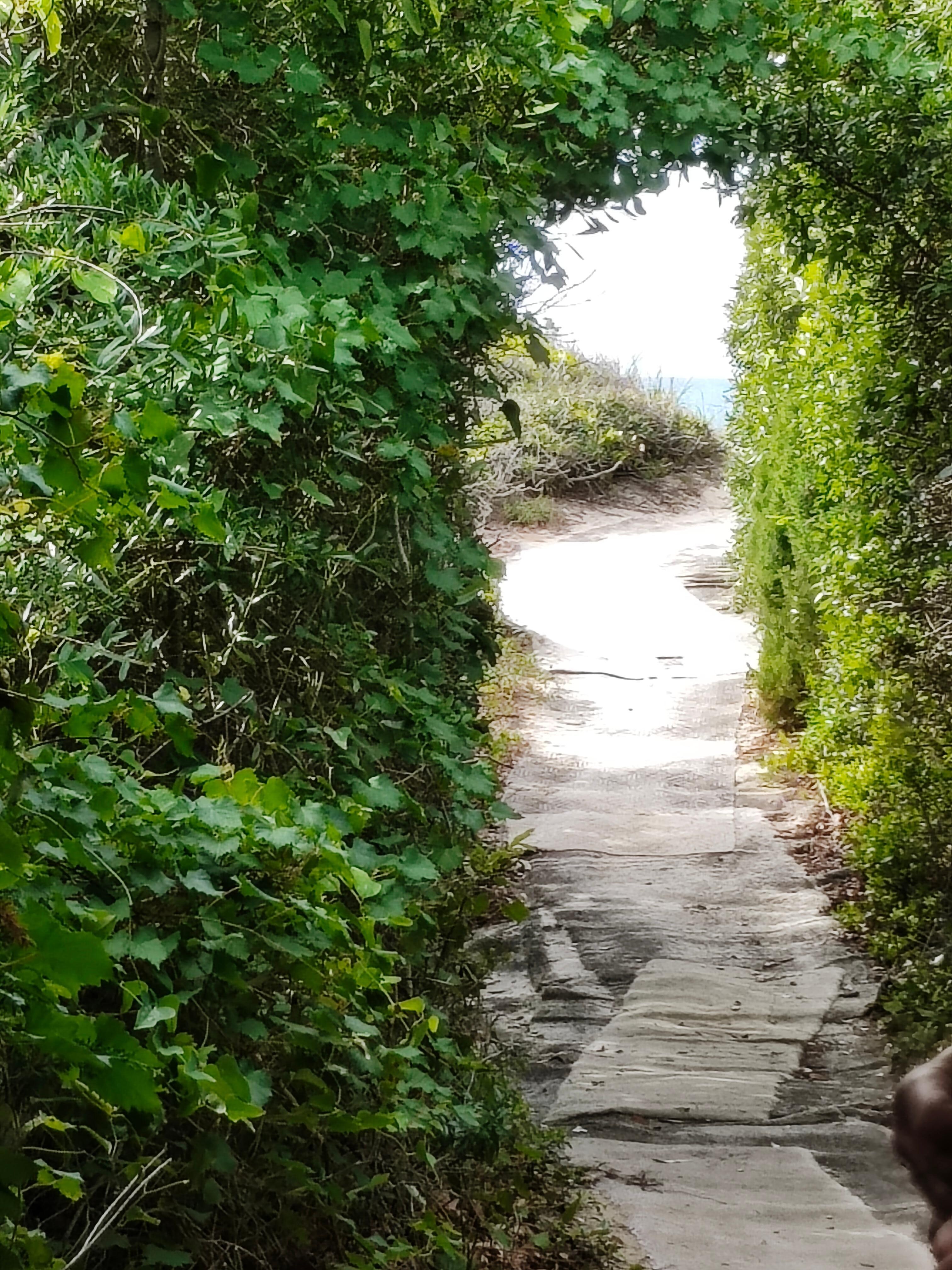 Part of the walk to the beach